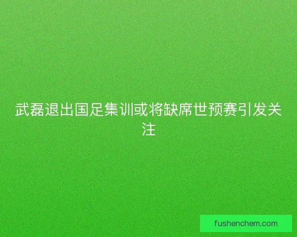 武磊退出国足集训或将缺席世预赛引发关注
