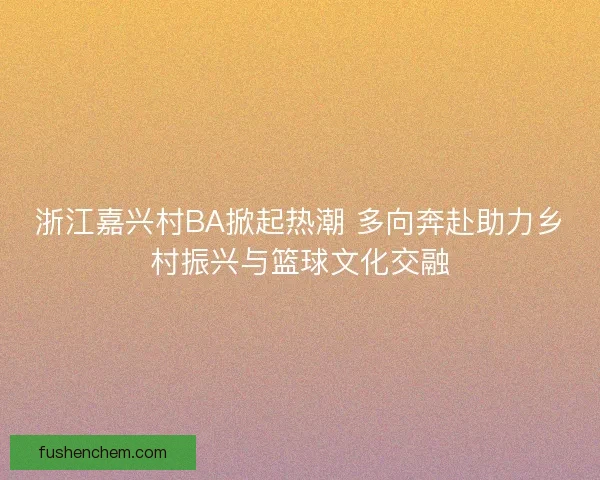 浙江嘉兴村BA掀起热潮 多向奔赴助力乡村振兴与篮球文化交融